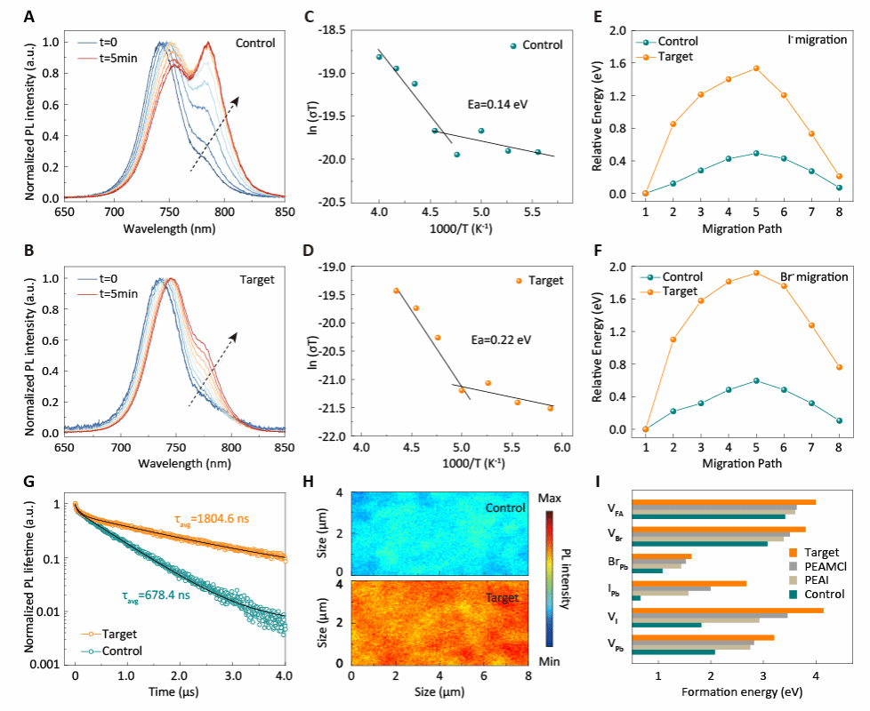 南京大学朱鹏臣/朱嘉团队及其合作者 | 增强晶格相互作用实现应变均质化以构筑高效稳定的四端钙钛矿/硅太阳电池