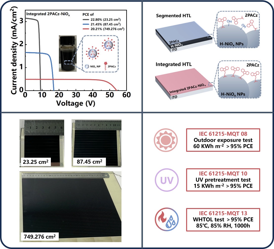 西安交大吴朝新教授团队在大面积商用钙钛矿光伏研究领域取得进展