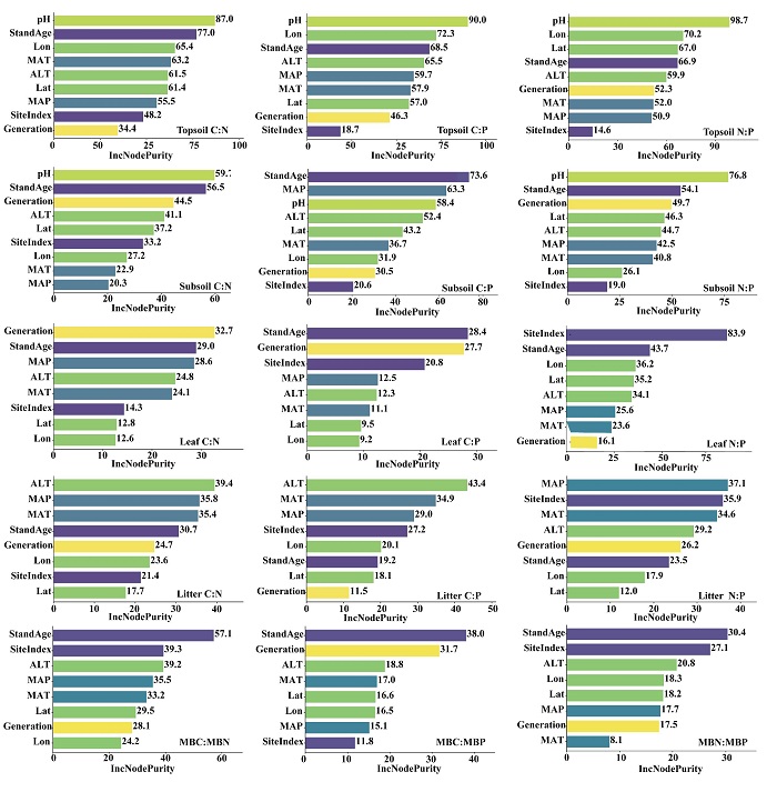 林业所最新研究揭示连续种植对中国杉 木人工林叶-凋落物-土壤-微生物系统 C:N:P化学计量变化机制