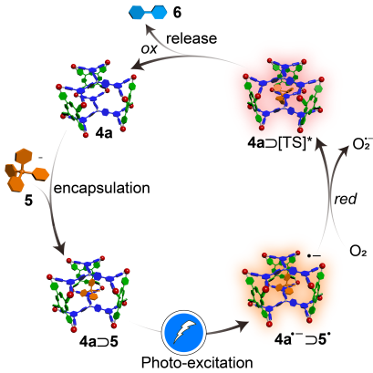 西安交大科研人员 在异质配体金属笼实现可见光催化领域取得新突破
