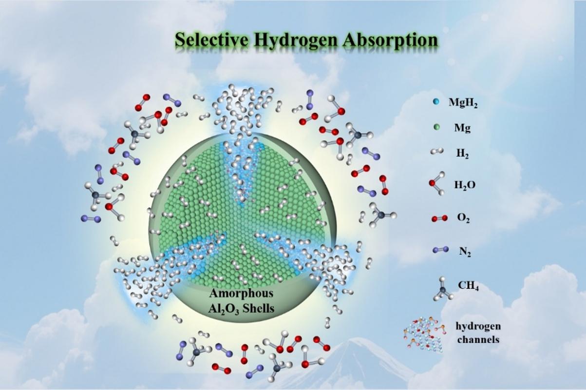 西安交大张锦英教授科研团队在选择性固态储氢研究中取得重要进展
