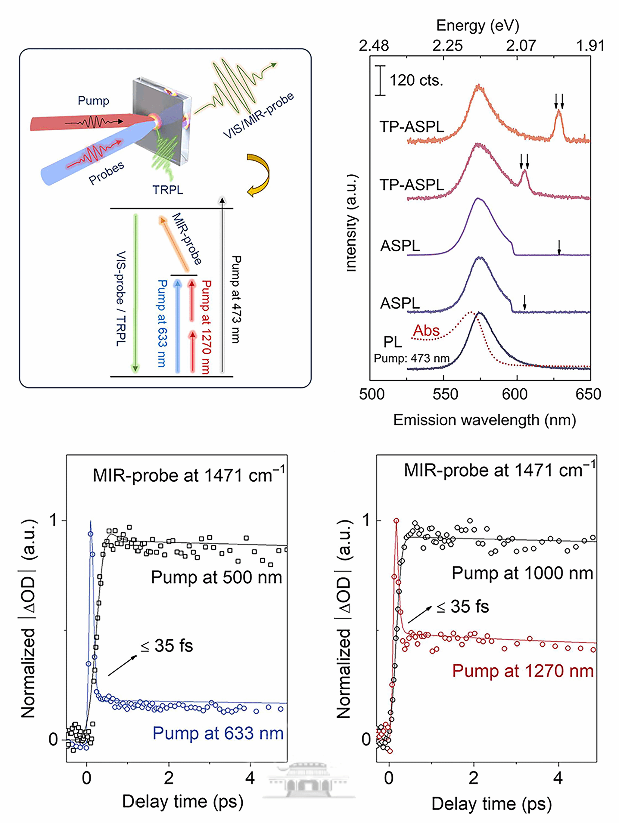 武汉大学刘晓泽团队在单步声子上转换的机制研究取得新进展