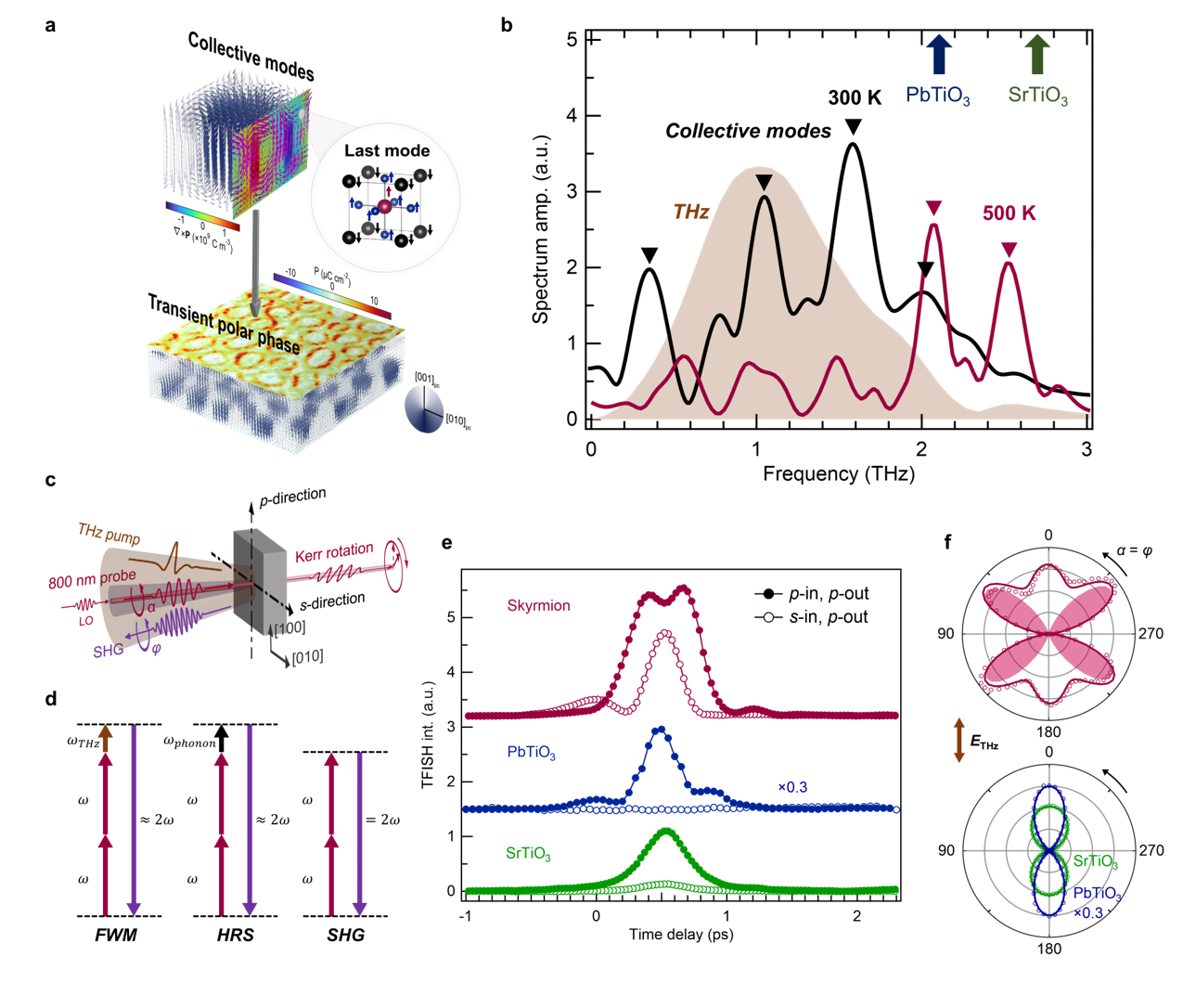 清华大学材料学院李千课题组合作在拓扑铁电材料超快动力学研究领域取得突破