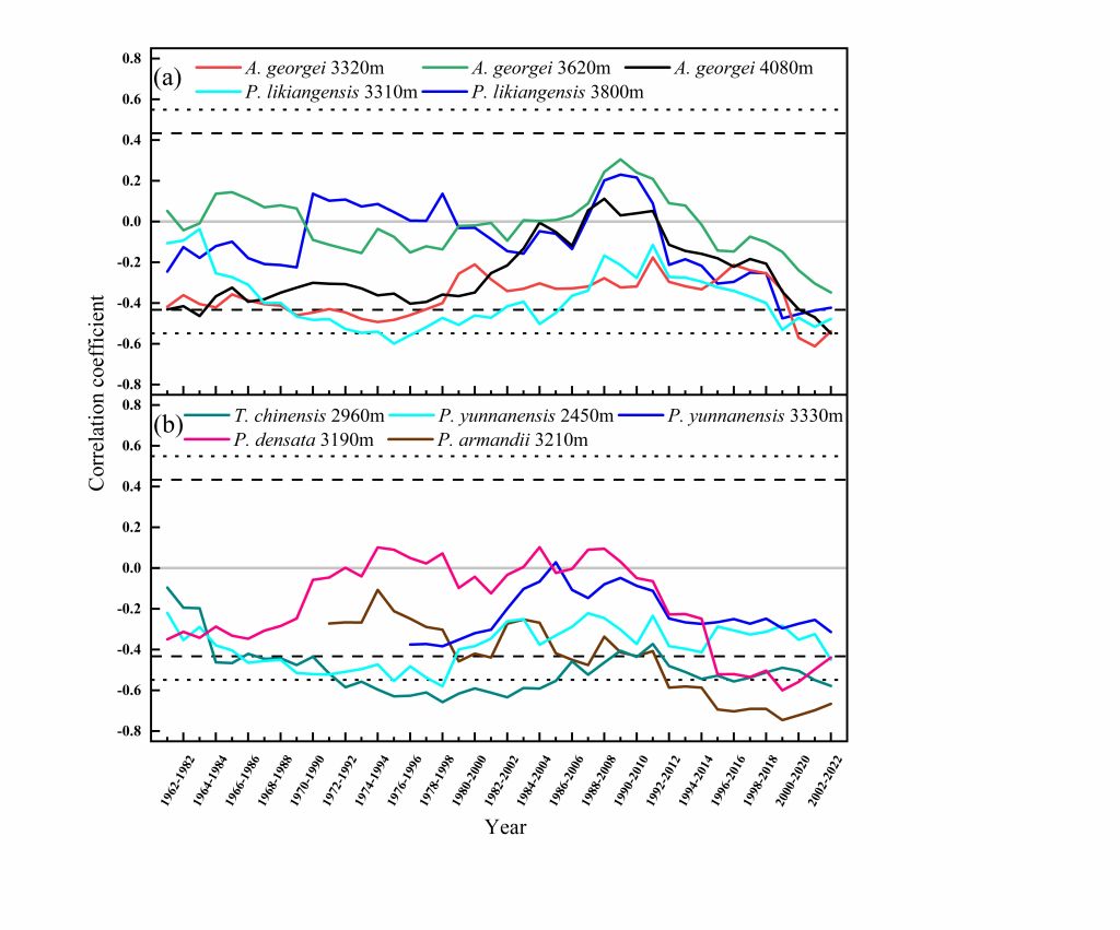 森环森保所揭示了春季5月干旱胁迫对青藏高原东南部针叶树生长的影响