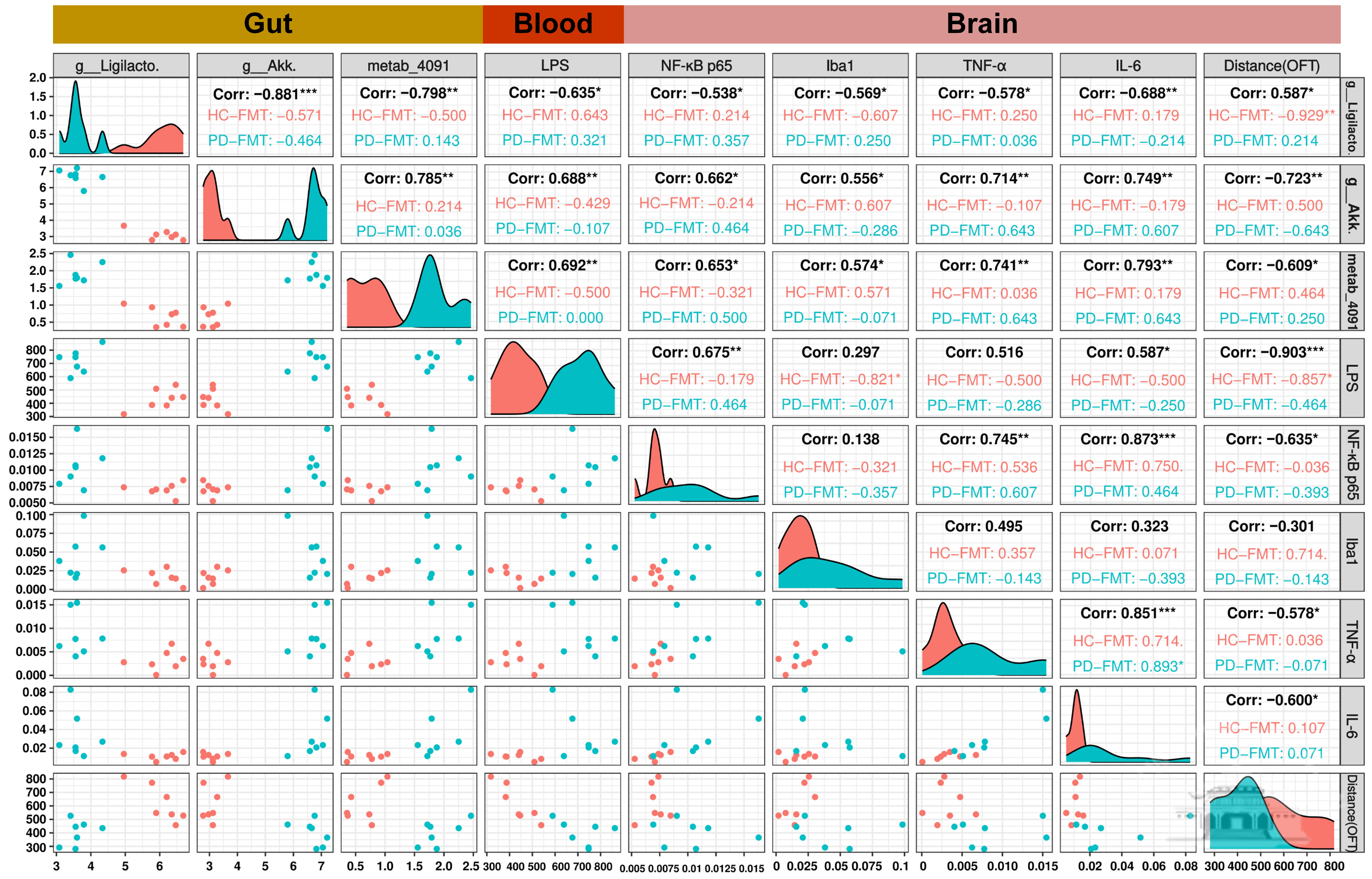 武汉大学刘燕群课题组在产前抑郁与肠道菌群研究领域取得突破