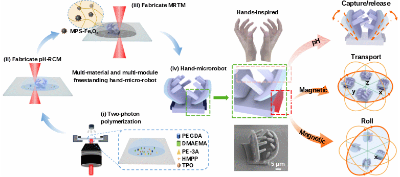 3D微纳机器人研究获进展