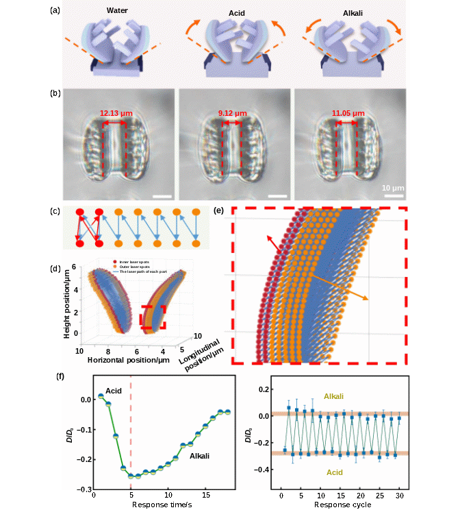 3D微纳机器人研究获进展