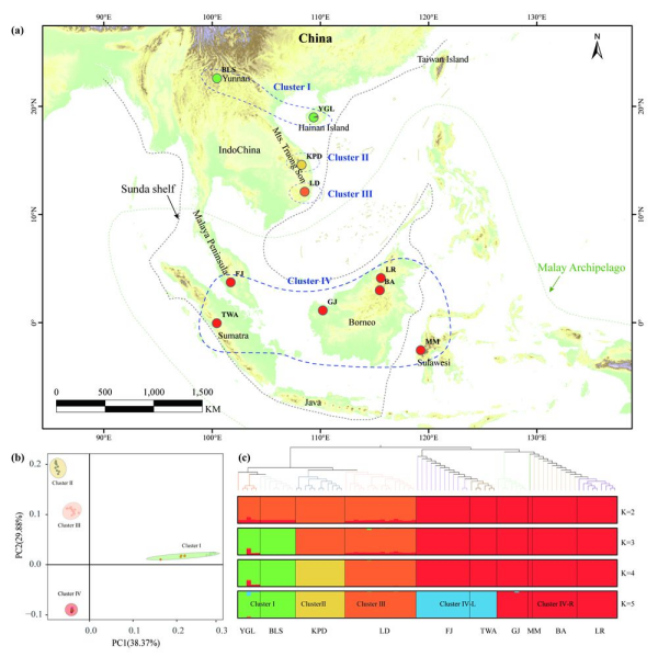 中南半岛与马来群岛植物分布格局成因研究取得进展