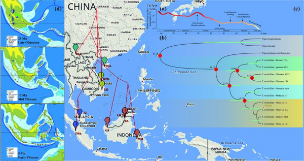 中南半岛与马来群岛植物分布格局成因研究取得进展