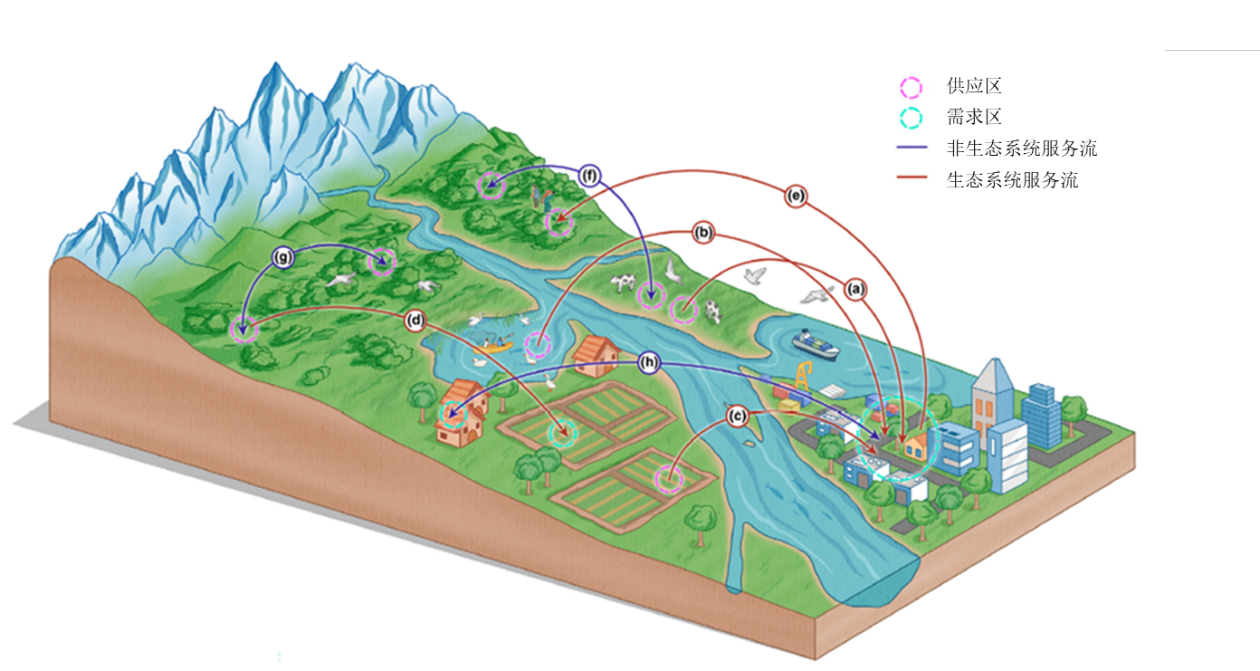 科研人员提出增强生态系统服务新方法