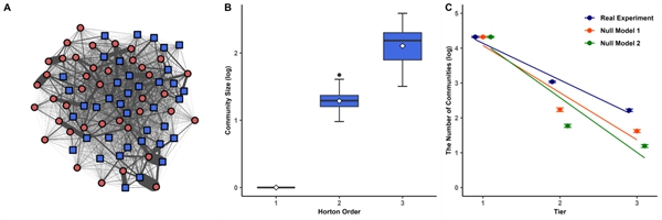 研究揭示鸟类社交网络多层次结构形成机制