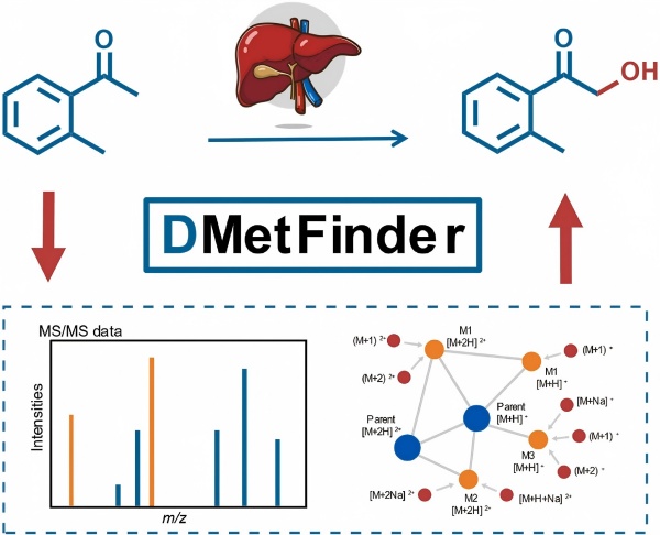 科研人员发布新型代谢产物鉴定工具
