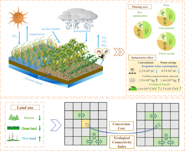多维要素协同优化提升生态系统连通性研究获进展