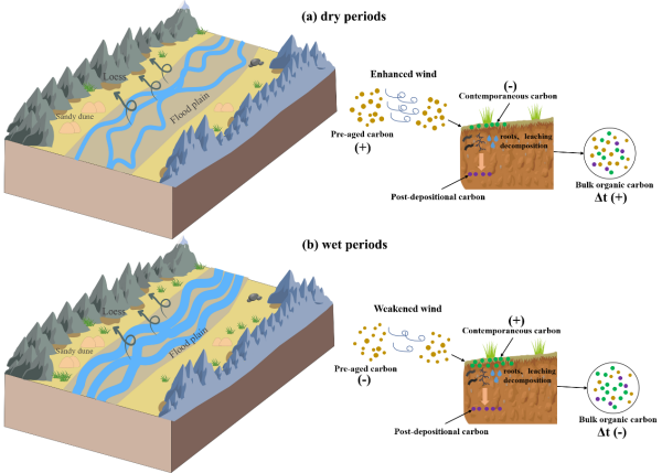 科学家揭示青藏高原黄土14C年代偏移的气候驱动机制