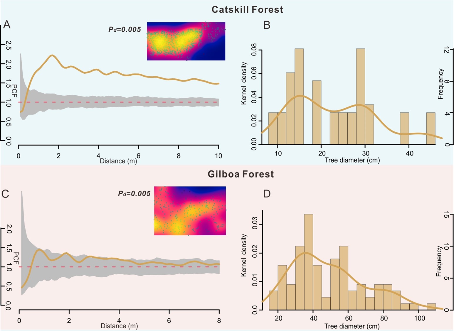研究揭示地史时期森林生态系统动态演化