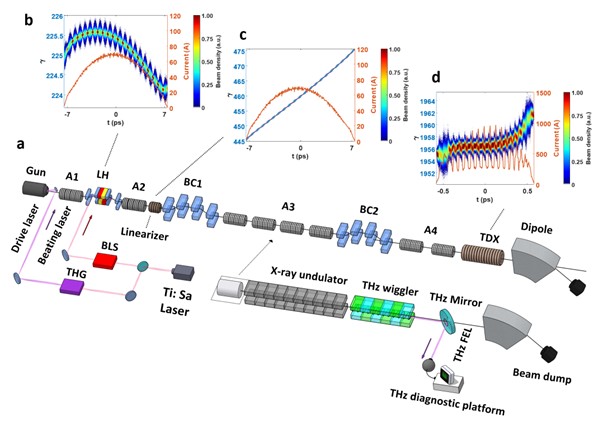 可调强场太赫兹自由电子激光研究获进展