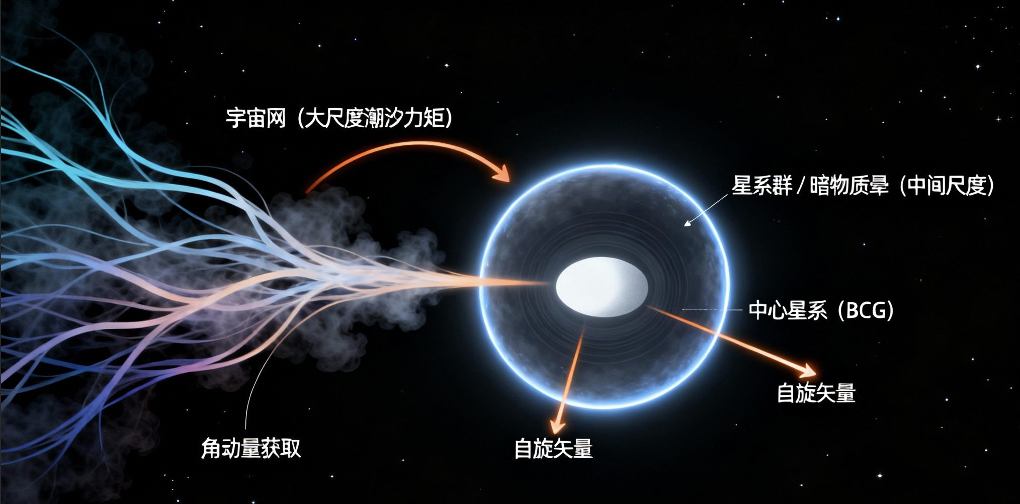 研究发现角动量传递新证据