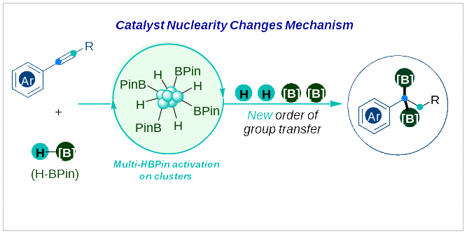 纳米团簇动态簇集和催化特性研究取得进展