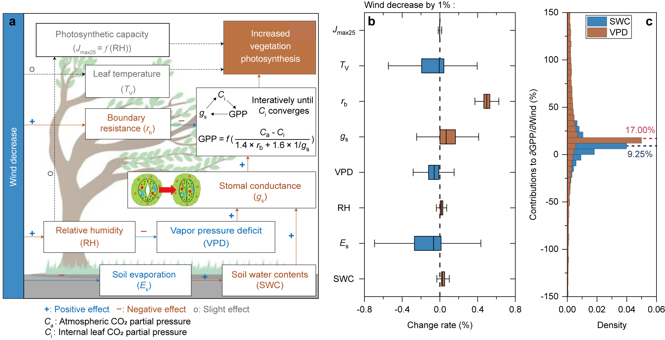 研究表明风速变化显著影响全球陆地植被固碳