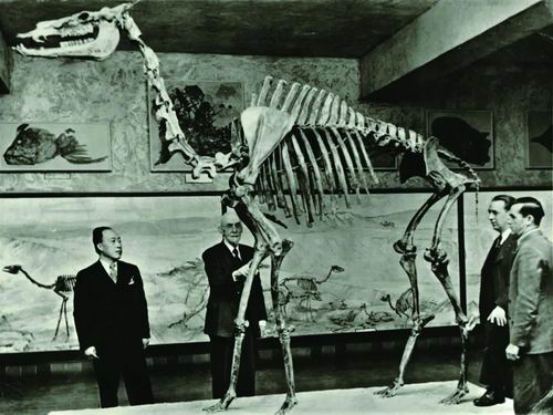 救亡亦存报效心