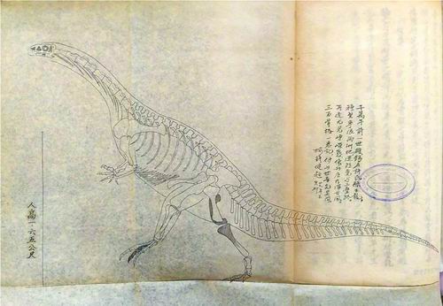 救亡亦存报效心