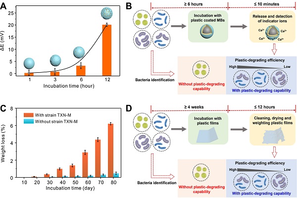 研究提出菌株塑料降解能力快速评估策略