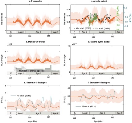 研究揭示寒武纪大爆发的“起搏器”