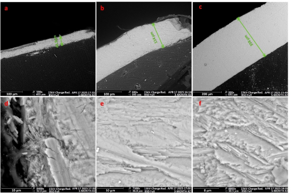 陆生蜗牛壳体高分辨率碳氧同位素研究取得进展