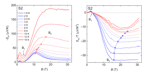 科研人员在理想一维外尔相中观测到巨大的能斯特平台