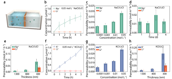 研究开发金属氢氧化物卟吩框架膜实现锂离子精准选择性保留