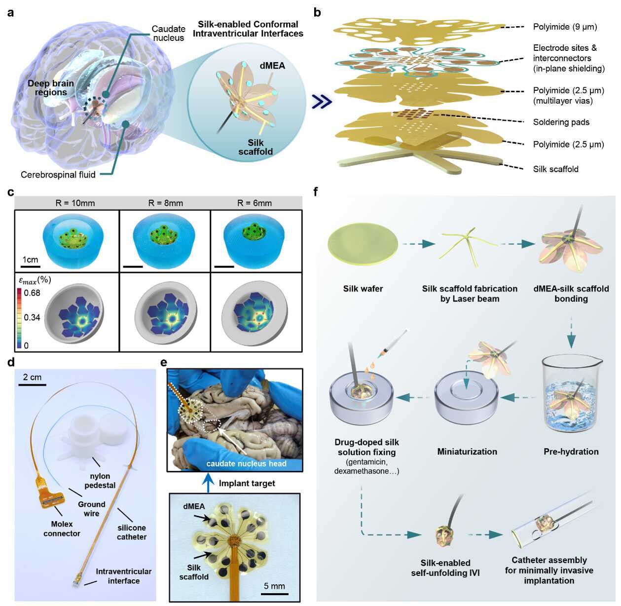 微创植入式柔性深脑区脑机接口研究取得进展