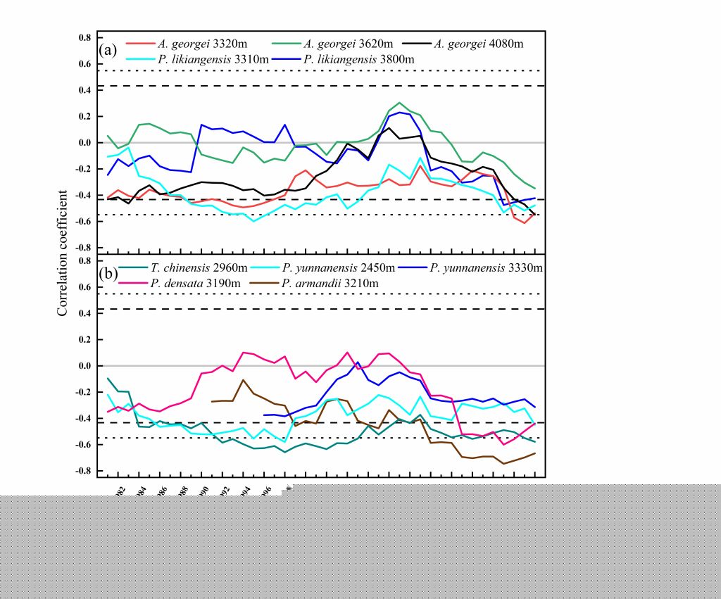 森环森保所揭示了春季5月干旱胁迫对青藏高原东南部针叶树生长的影响