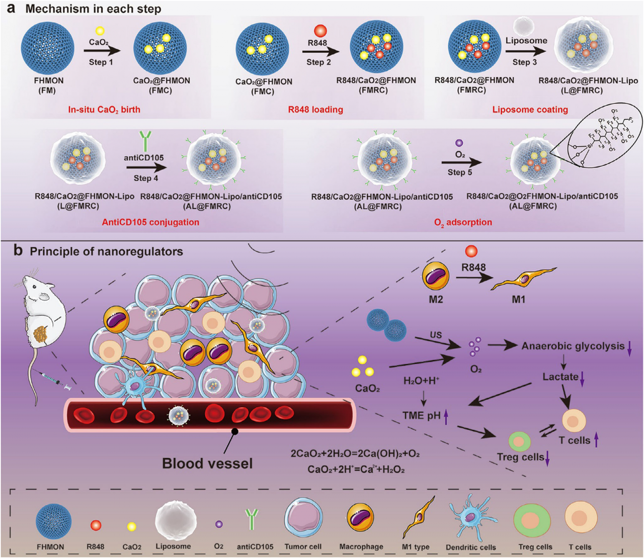 电子科技大学医学院张坤教授团队在Advanced Materials发表最新研究成果