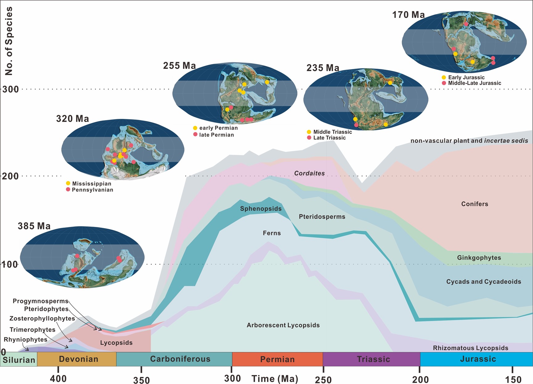 研究揭示地史时期森林生态系统动态演化