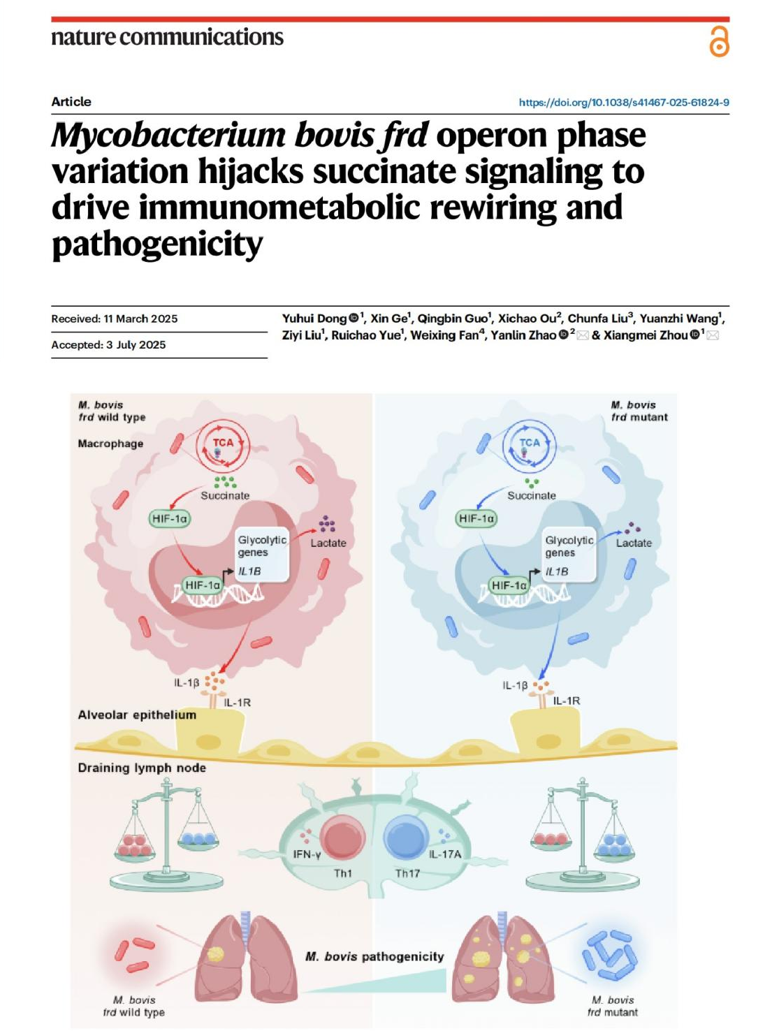 中国农业大学动物医学院周向梅教授团队在牛分枝杆菌致病机制与宿主抗菌免疫方面取得重要进展