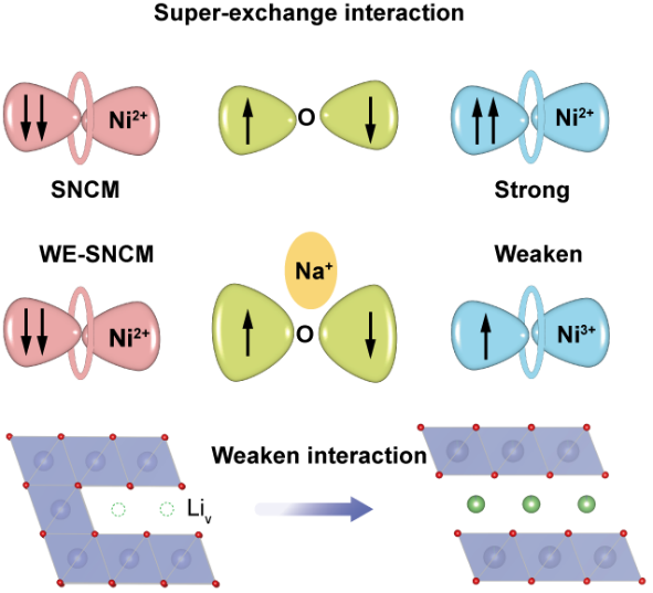 西安交大科研人员在锂离子电池回收领域取得重要进展