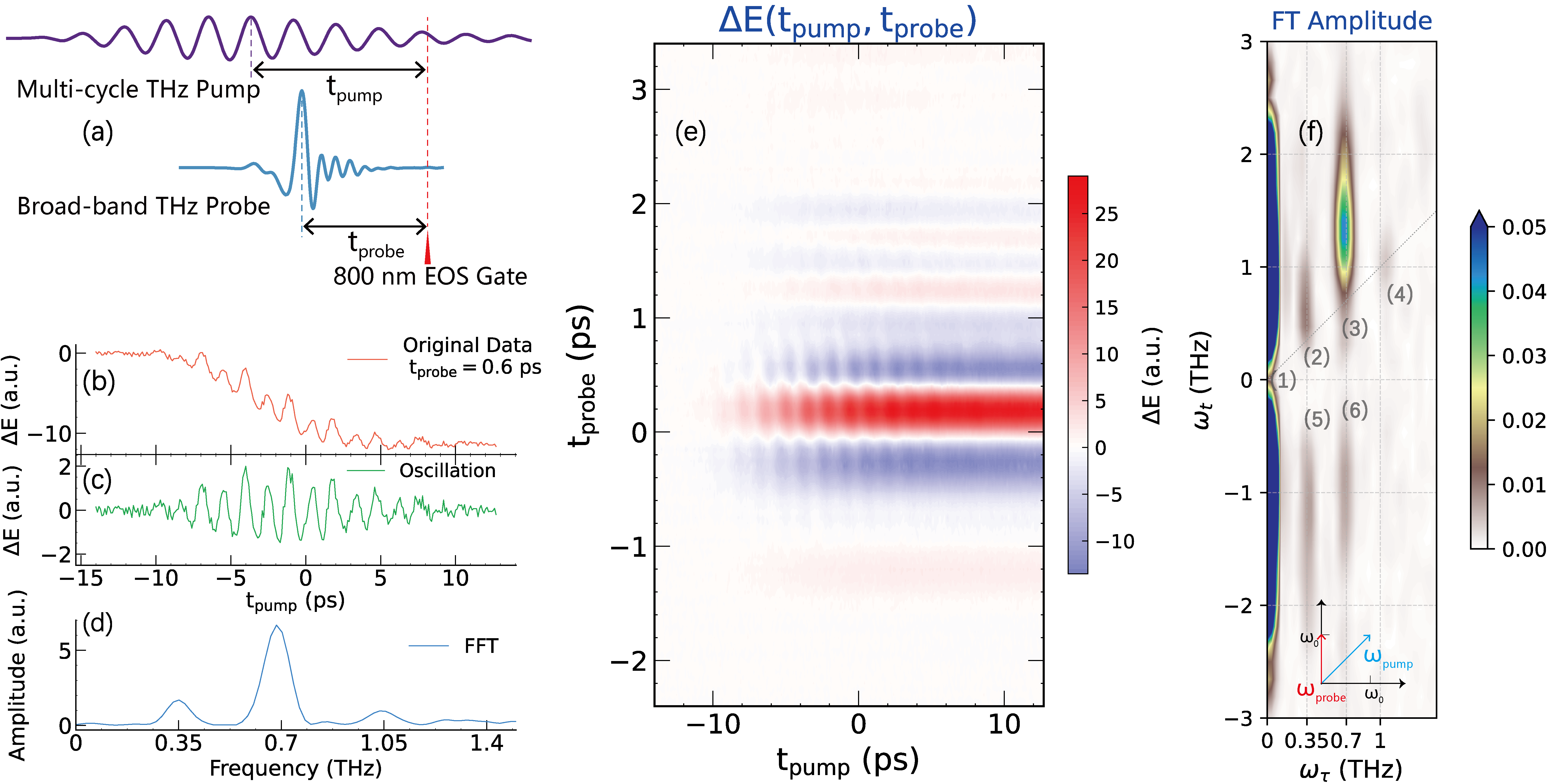 北京大学物理学院王楠林课题组与合作者在多带超导体集体模式的选择性激发方面取得进展