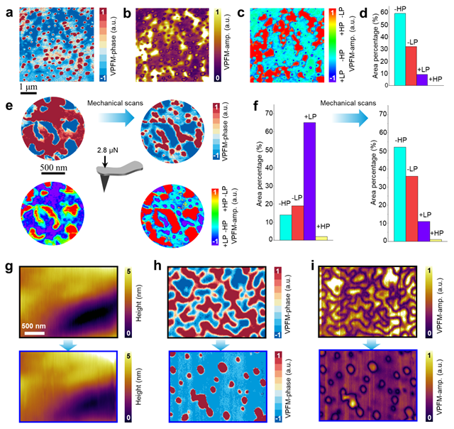 北理工团队通过力学方法在范德华铁电单晶中成功构造极化拓扑畴