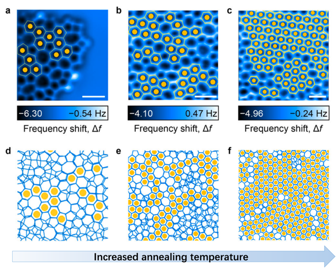 北京大学冰也会“织网”?物理学院徐莉梅、江颖、王恩哥团队揭示二维冰有序化的原子级机制