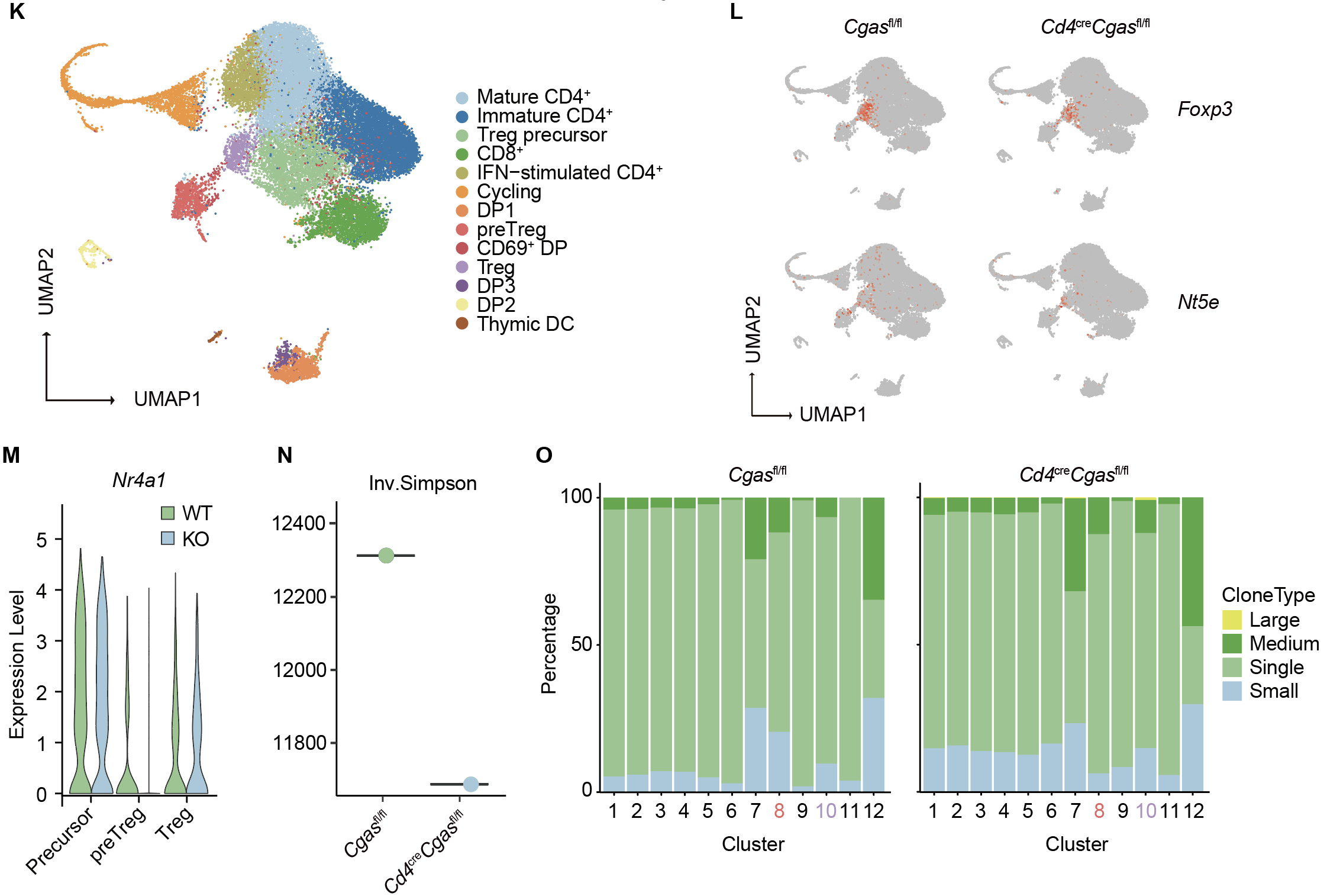 清华大学药学院尹航团队揭示cGAS-CTCF轴维持Treg的发育和功能