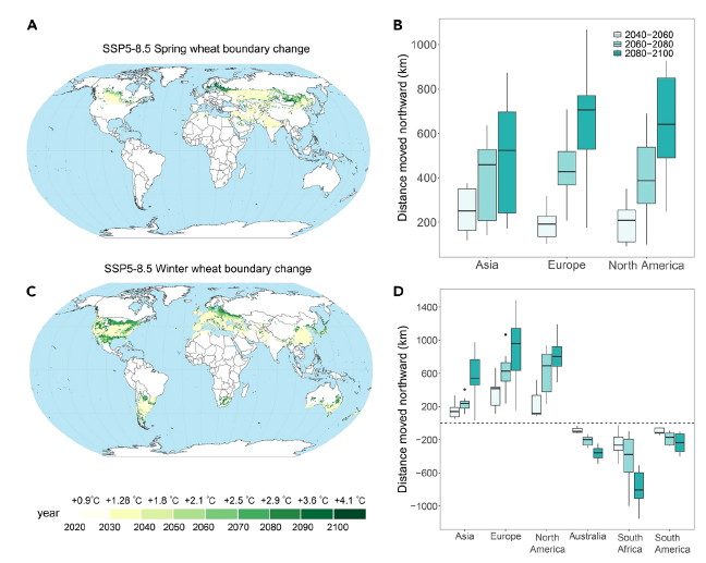 中国农业大学资环学院赵闯、杨晓光教授团队揭示气候变暖下全球小麦种植区扩张潜力足以抵消单产损失