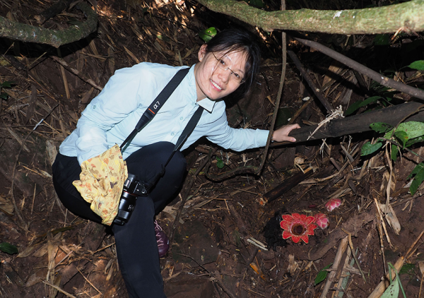 鲁丽敏:为植物绘制“家谱”