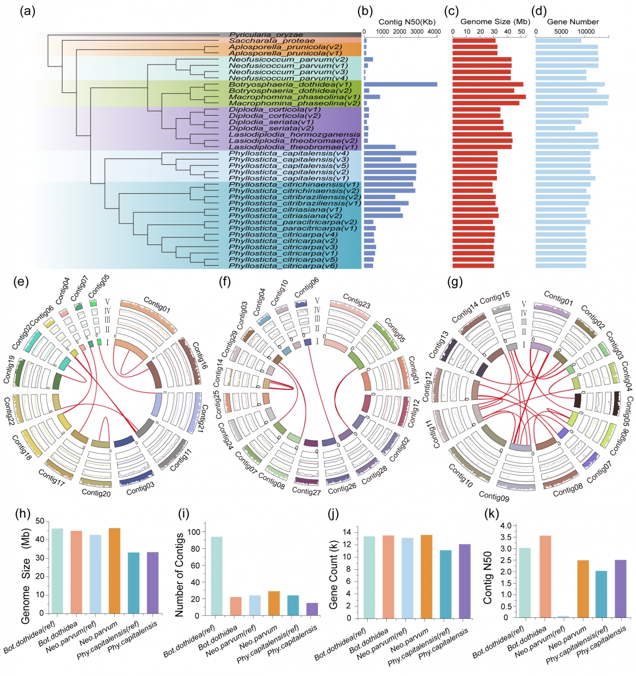 电子科技大学生命学院刘建魁、张勇教授团队在Fungal Diversity期刊发表研究成果