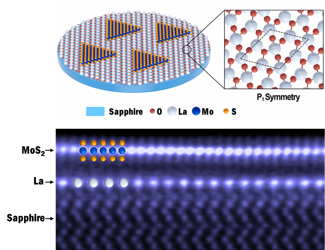 南京大学稀土原子“点石成晶”!南大-苏州实验室联合成果登上Science