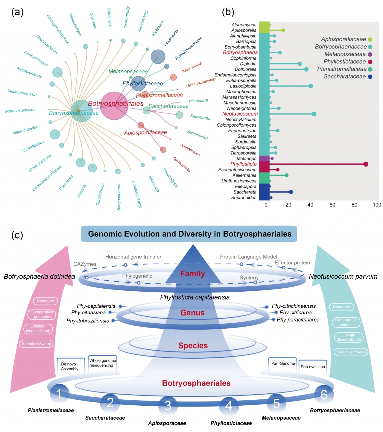 电子科技大学生命学院刘建魁、张勇教授团队在Fungal Diversity期刊发表研究成果