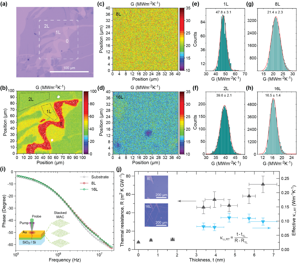 北京大学力学与工程科学学院宋柏团队揭示单原子层二维无定形材料奇特热输运性质