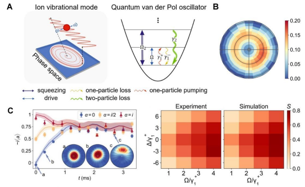 研究在离子阱中实现范德波尔振子的量子模拟