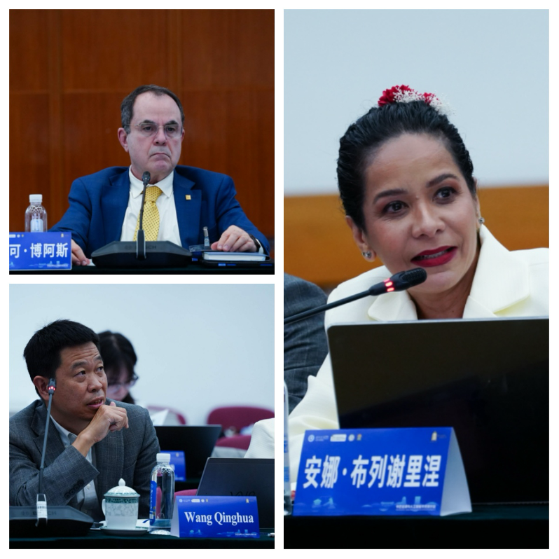 北京师范大学中巴法律与人工智能学术研讨会在北京师范大学举行