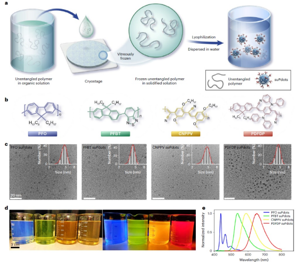 活细胞纳米分辨成像探针研制获进展