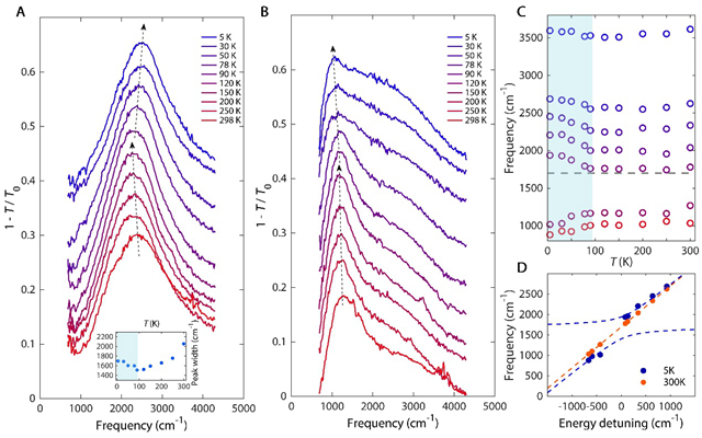 北理工物理学院在笼目晶格材料CsV3Sb5等离激元研究方面取得重要进展